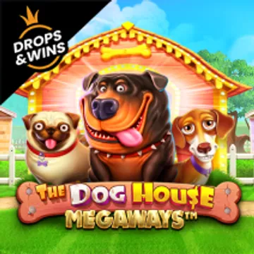 the dog house megaways